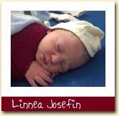 Linnea Josefin