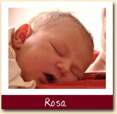 Rosa